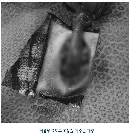 아리미스07.JPG