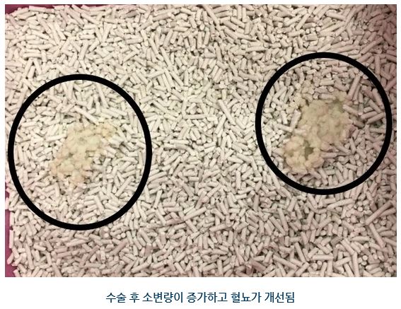 아리미스11.JPG