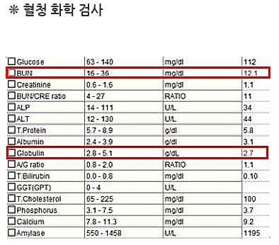 아원장님 보리01.JPG