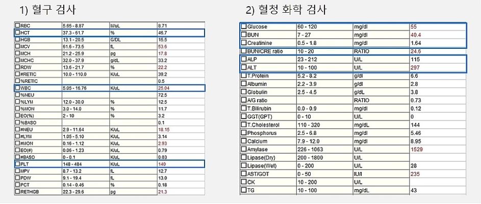 튼튼01.JPG
