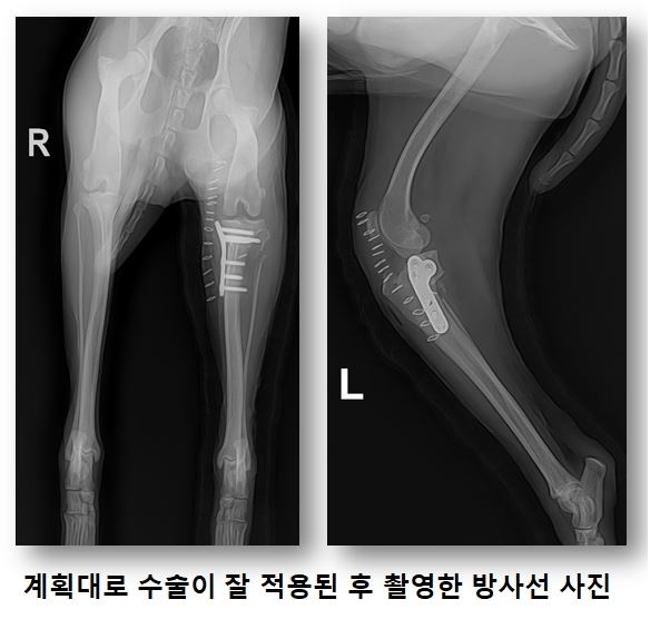 인대06.JPG
