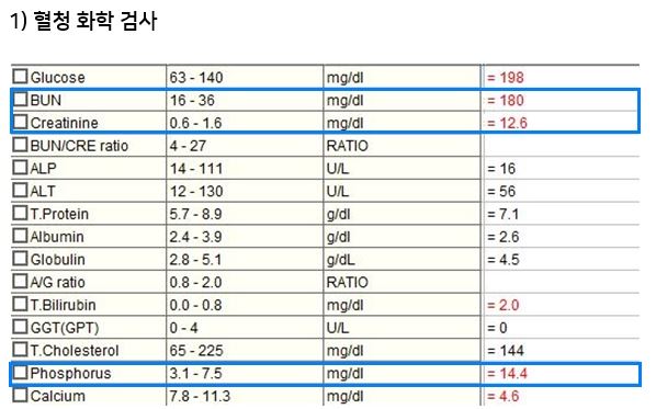 야옹이02.JPG