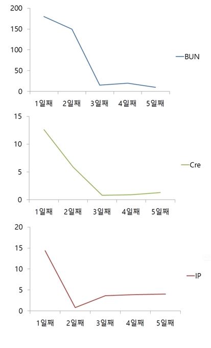 야옹이09.JPG
