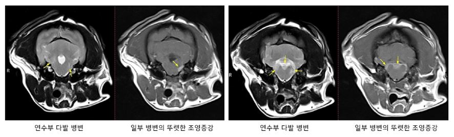 이남경 보리03.JPG