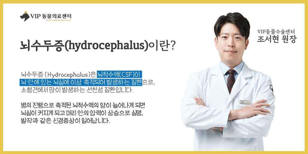 내용1.jpg