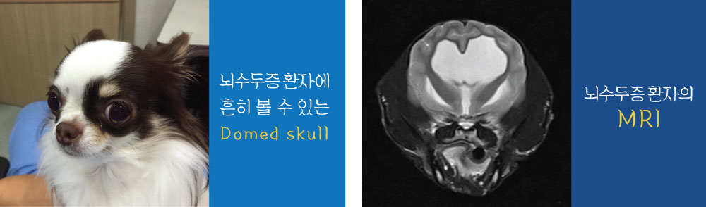 내용2.jpg