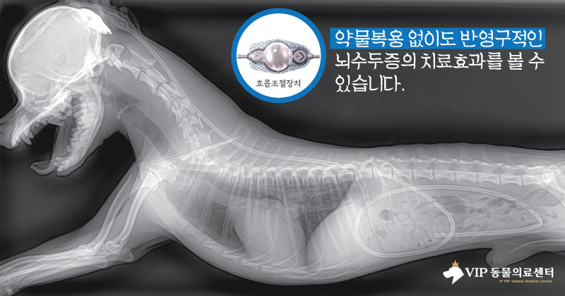 내용4.jpg