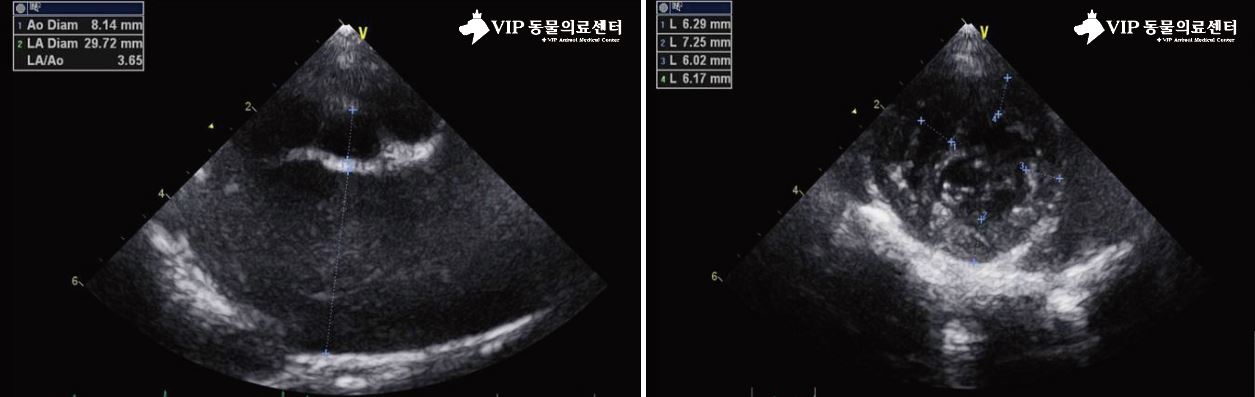 깜귀06 수정.JPG