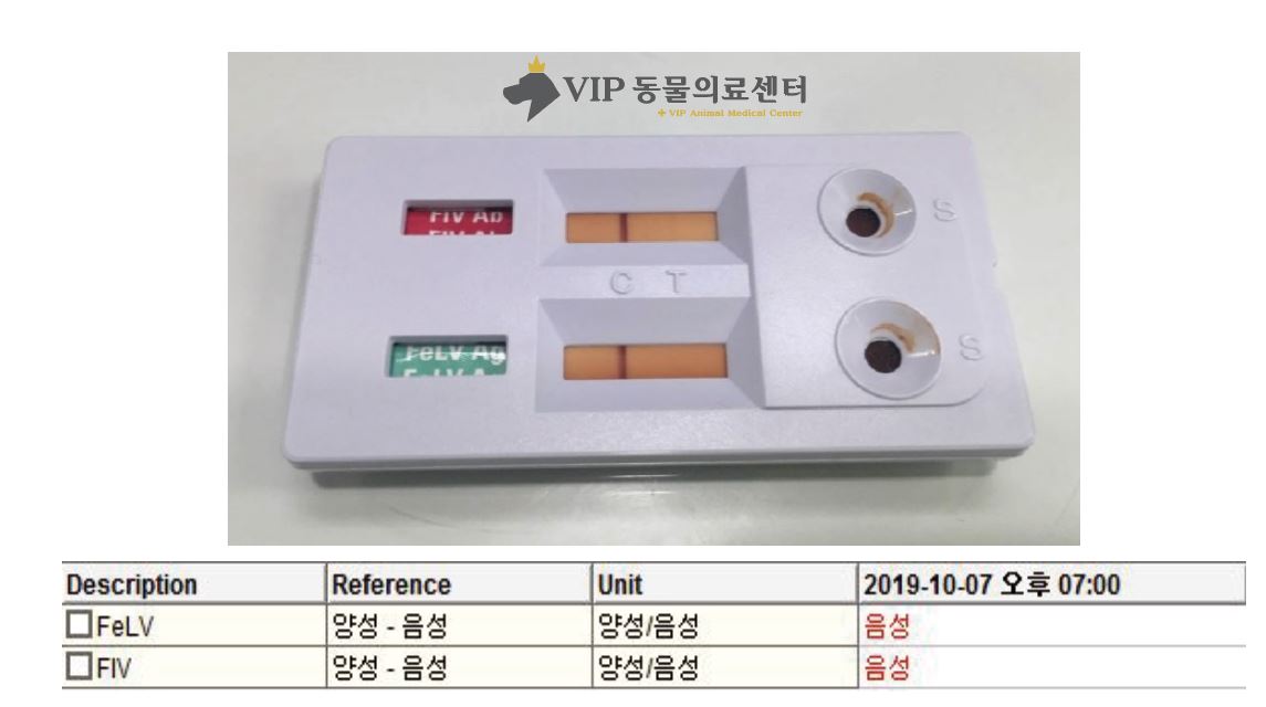 고양이설사03.JPG