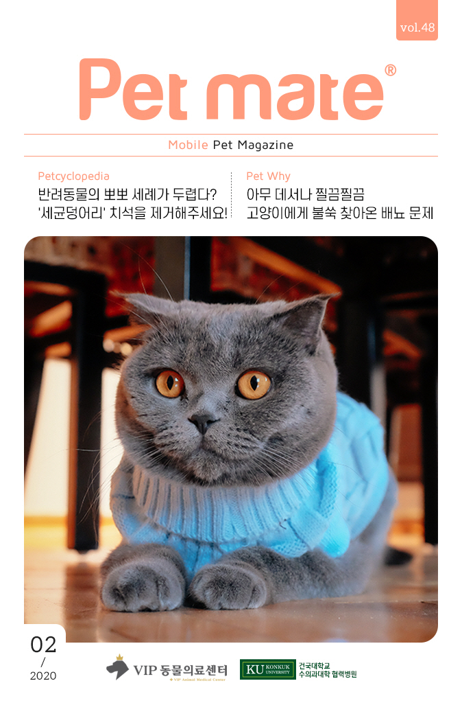 01_01_Title.jpg