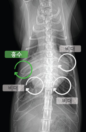내용1-1.jpg