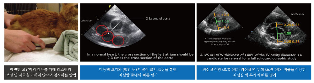 내용3.jpg