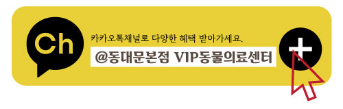 동대문본점카카오톡채널-버튼.jpg