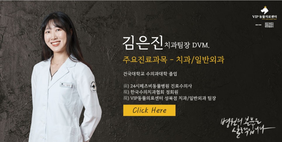 김은진-치과팀장.jpg