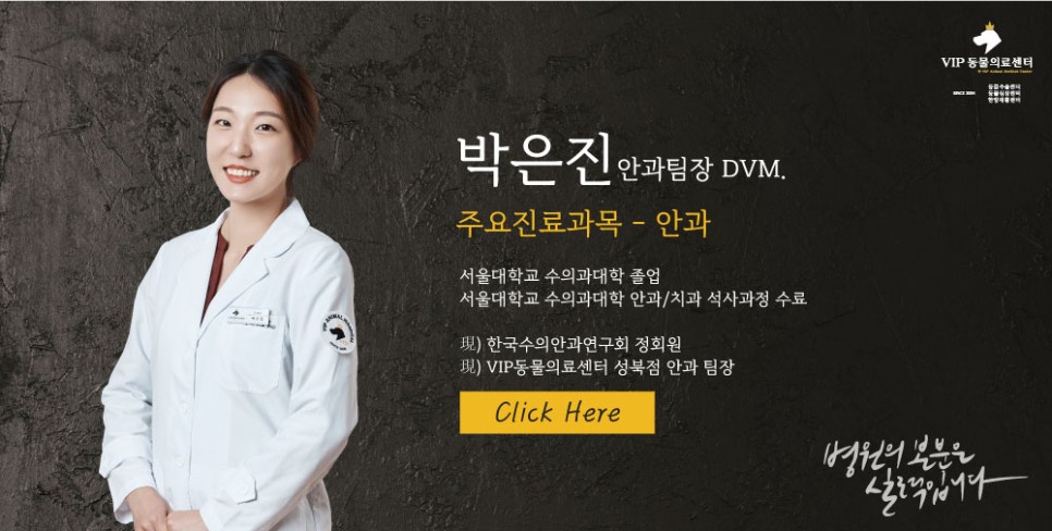 박은진-안과팀장.jpg