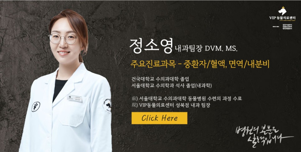 정소영-내과팀장.jpg