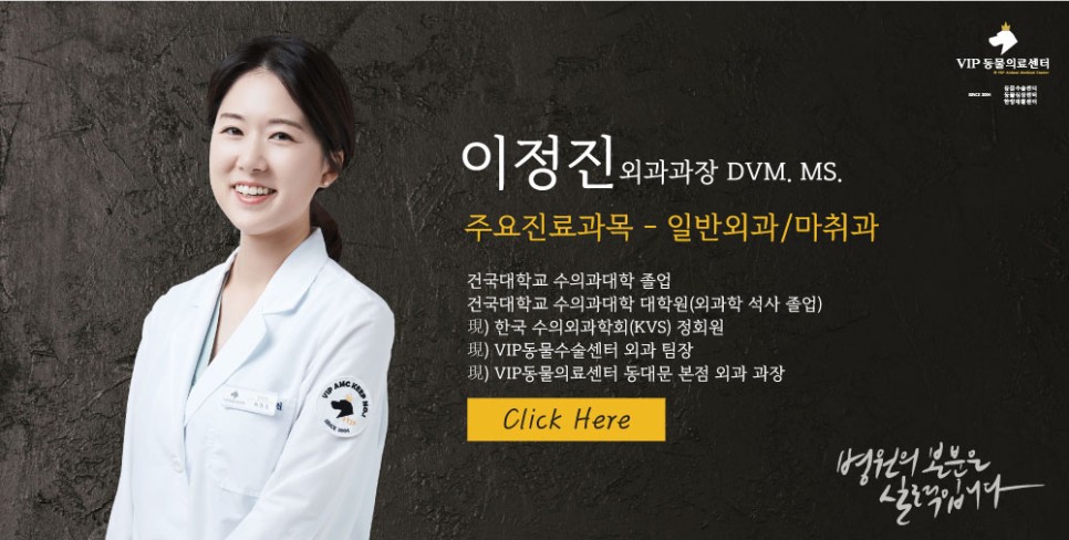 이정진-외과과장.jpg