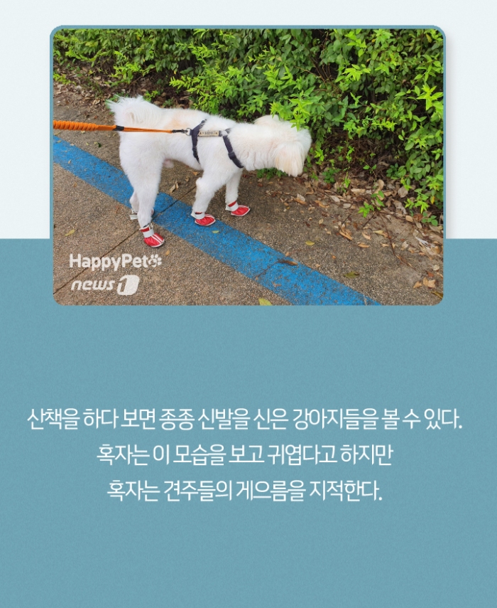 4468645_article.jpg