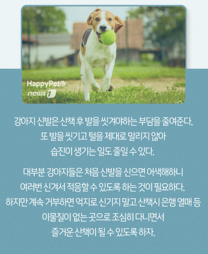 4468652_article.jpg
