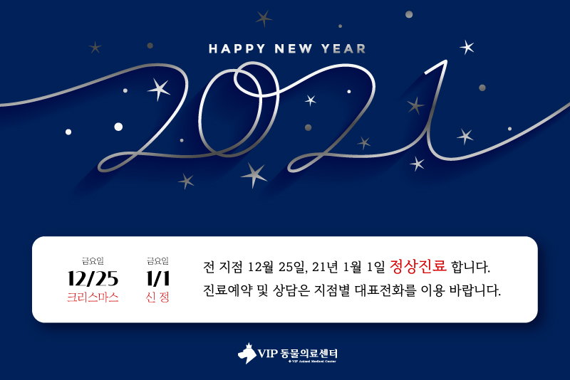 1월1일-신정.jpg