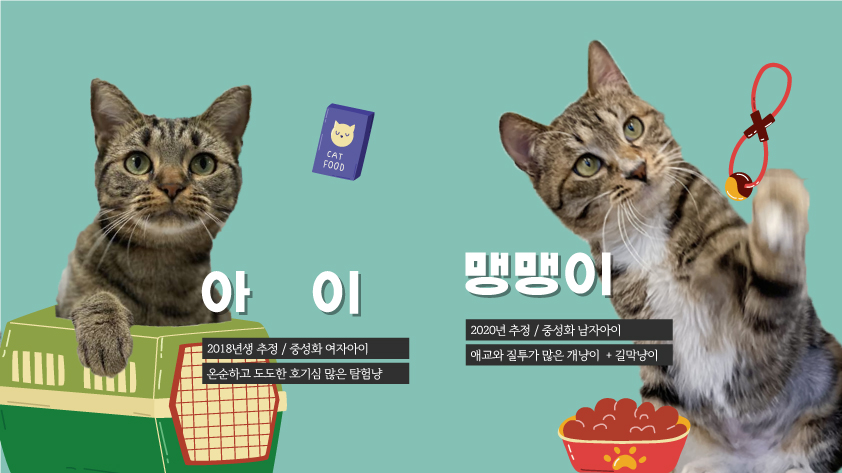 원내고양이-프로필.jpg