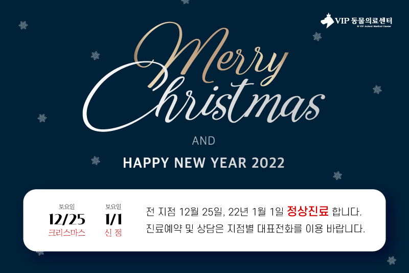 1월1일-신정2.jpg