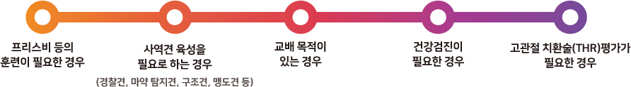 팬힙 검사 적용 대상